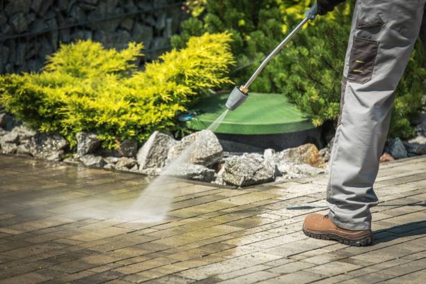 Best Soft Washing  in Glendora, NJ
